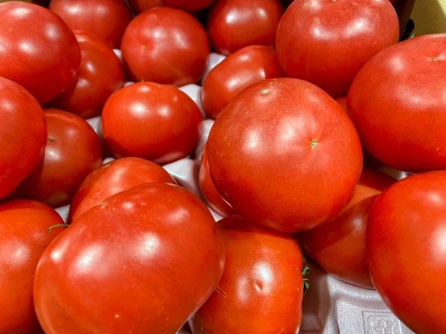 トマトの旬は6月から9月